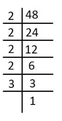 Factor tree for 48
