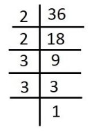 Factor tree for 36