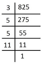 Factor tree for 825