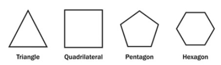 polygons