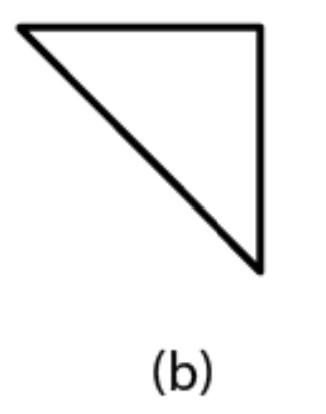 Polygon (b)