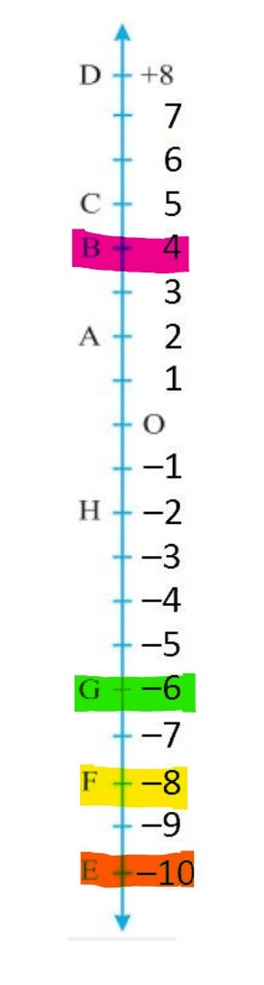 Vertical Number Line