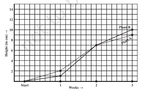 Graph for Q3 plant growth